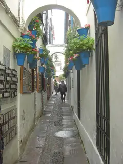 花巷