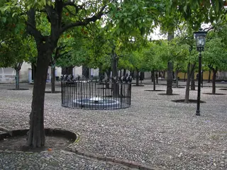 橙樹庭院