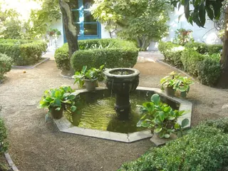 橘樹庭院