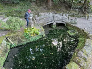 淨智寺