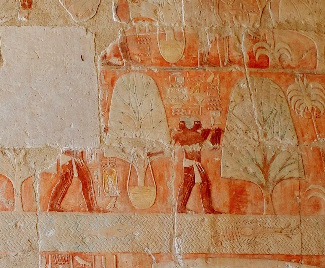 Punt Expedition Reliefs
