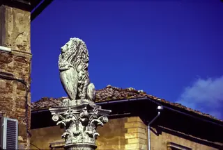 Colonna del Marzocco