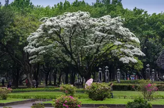 228 Peace Memorial Park