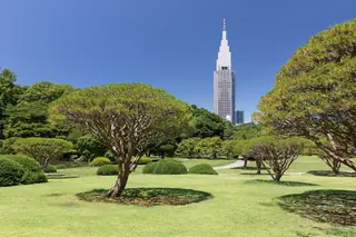 新宿御苑日本庭園