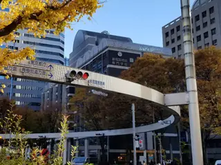 新宿警察署前十字路口